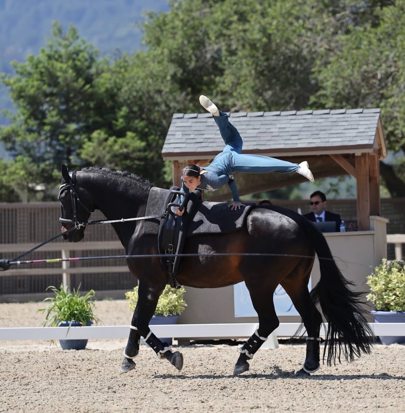 Support Davon Equestrian Vaulters' Journey campaign photo, 2 of 8