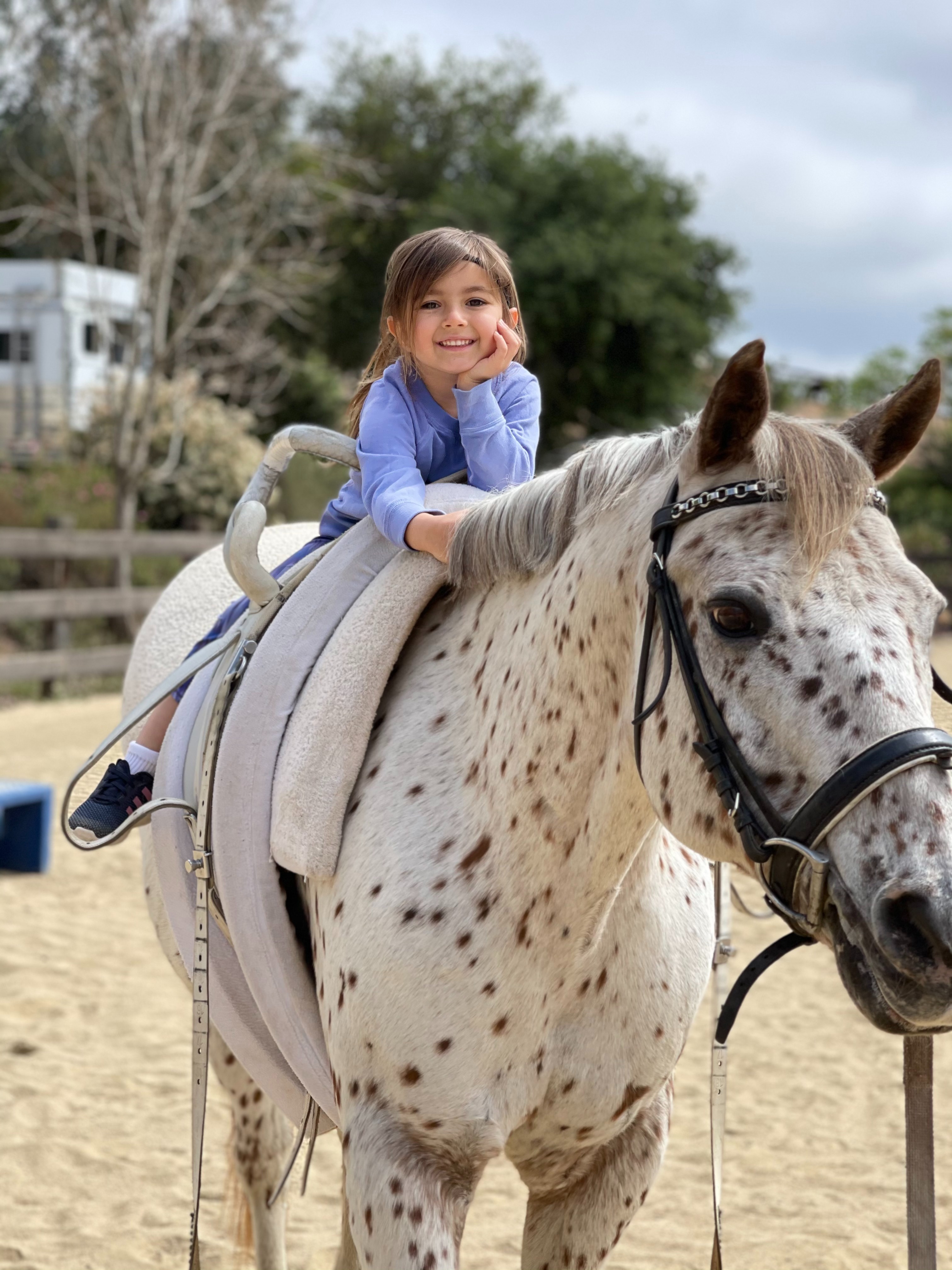 Support Davon Equestrian Vaulters' Journey campaign photo, 5 of 8