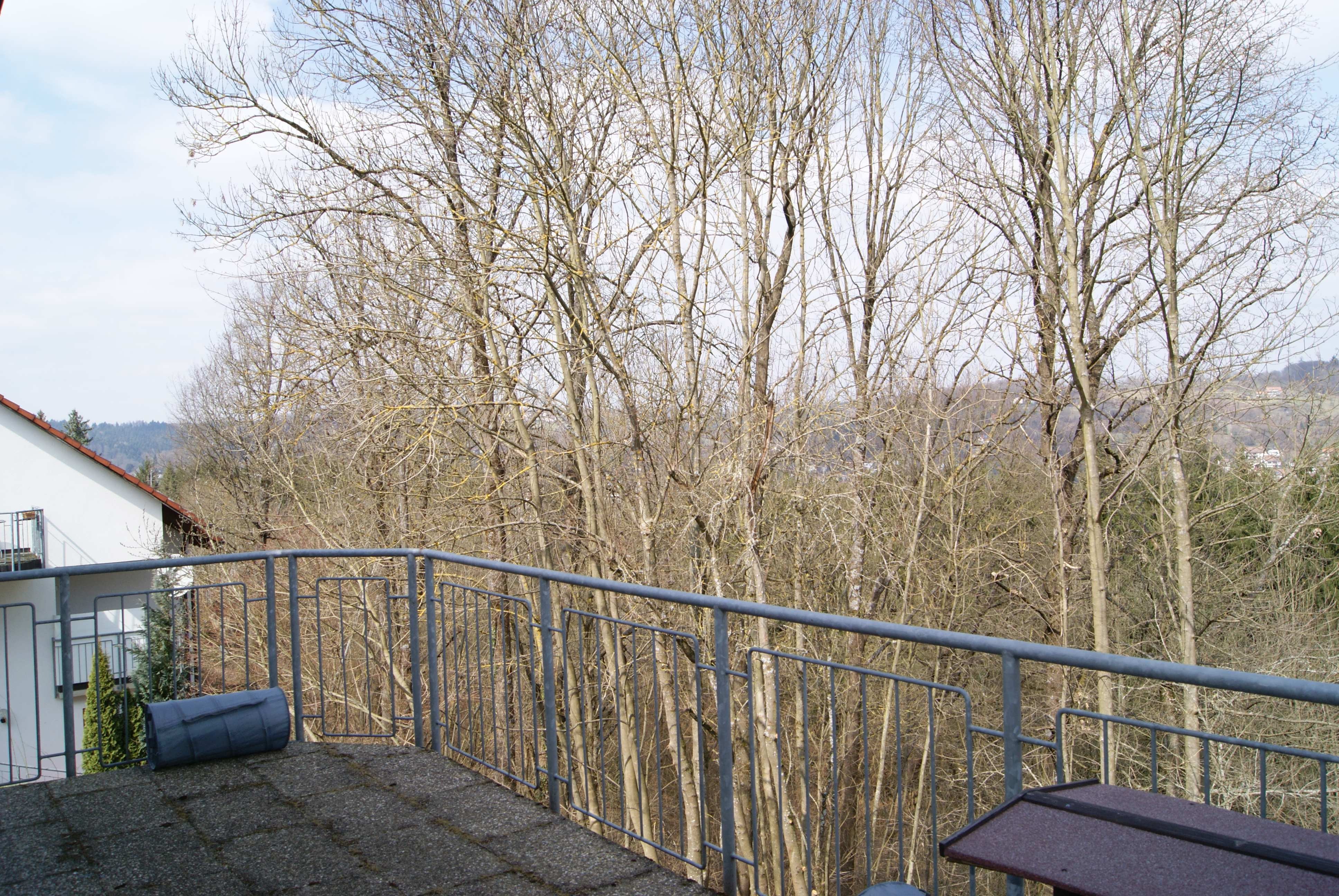 Hangrutsch Schwäbisch Gmünd - Ich kämpfe um mein Zuhause campaign photo, 5 of 8