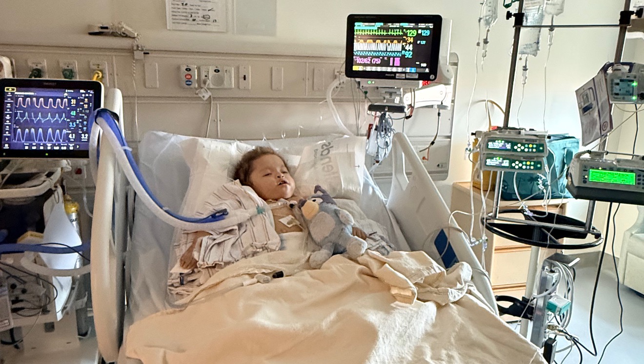 Help Howie Fight HMPV, Pneumonia & Infection