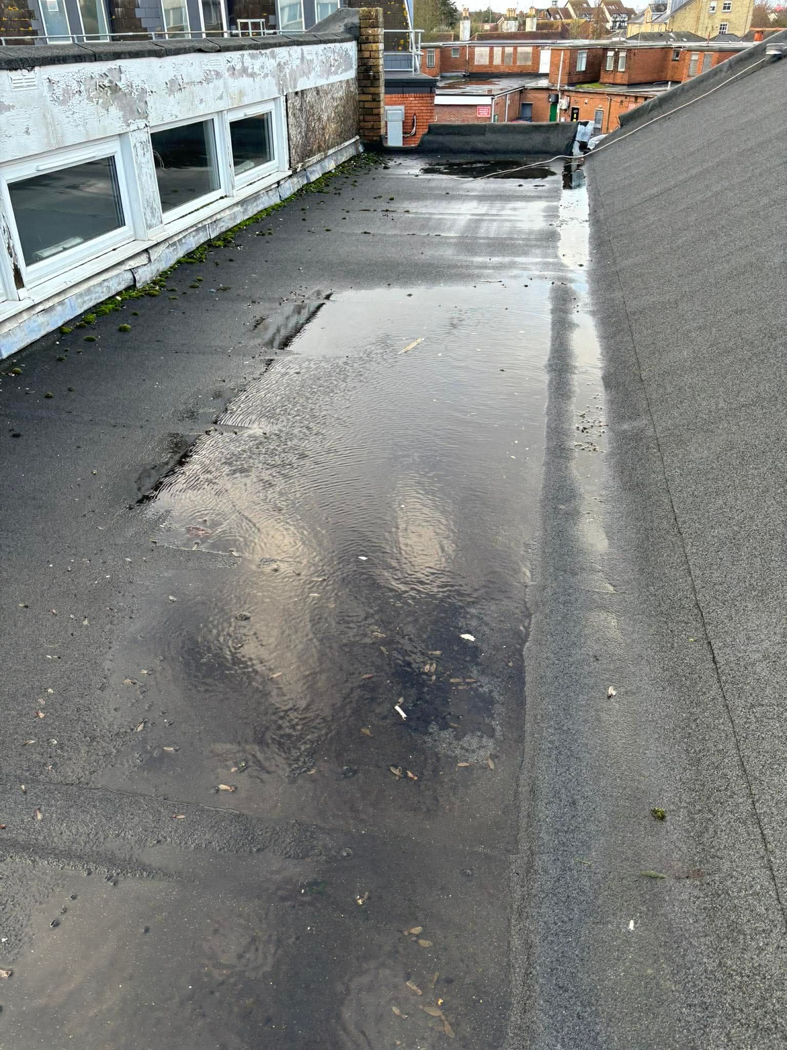 Dancewise Studios fix their leaking (and falling down) roof. campaign photo, 2 of 6