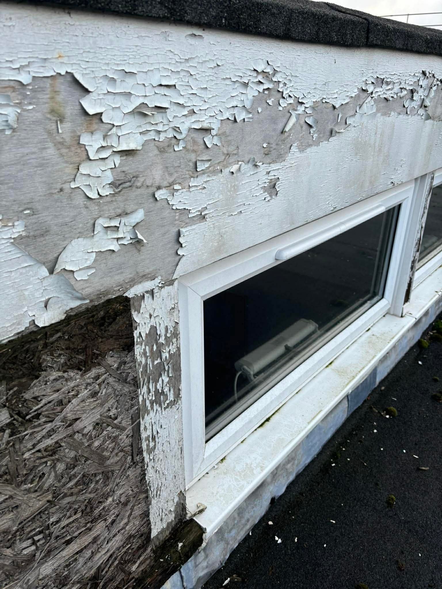 Dancewise Studios fix their leaking (and falling down) roof. campaign photo, 4 of 6