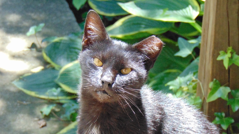 Stinky's Tip Jar photo