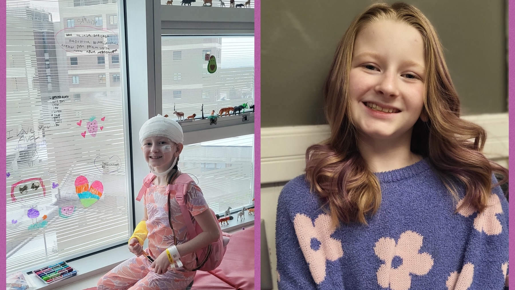 Help Ava Get Her Seizure Service Dog