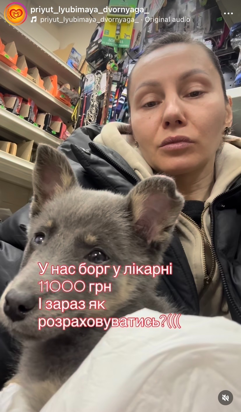 Help Feed & Protect 1,500 Animals in Dnipro region, Ukraine campaign photo, 5 of 7