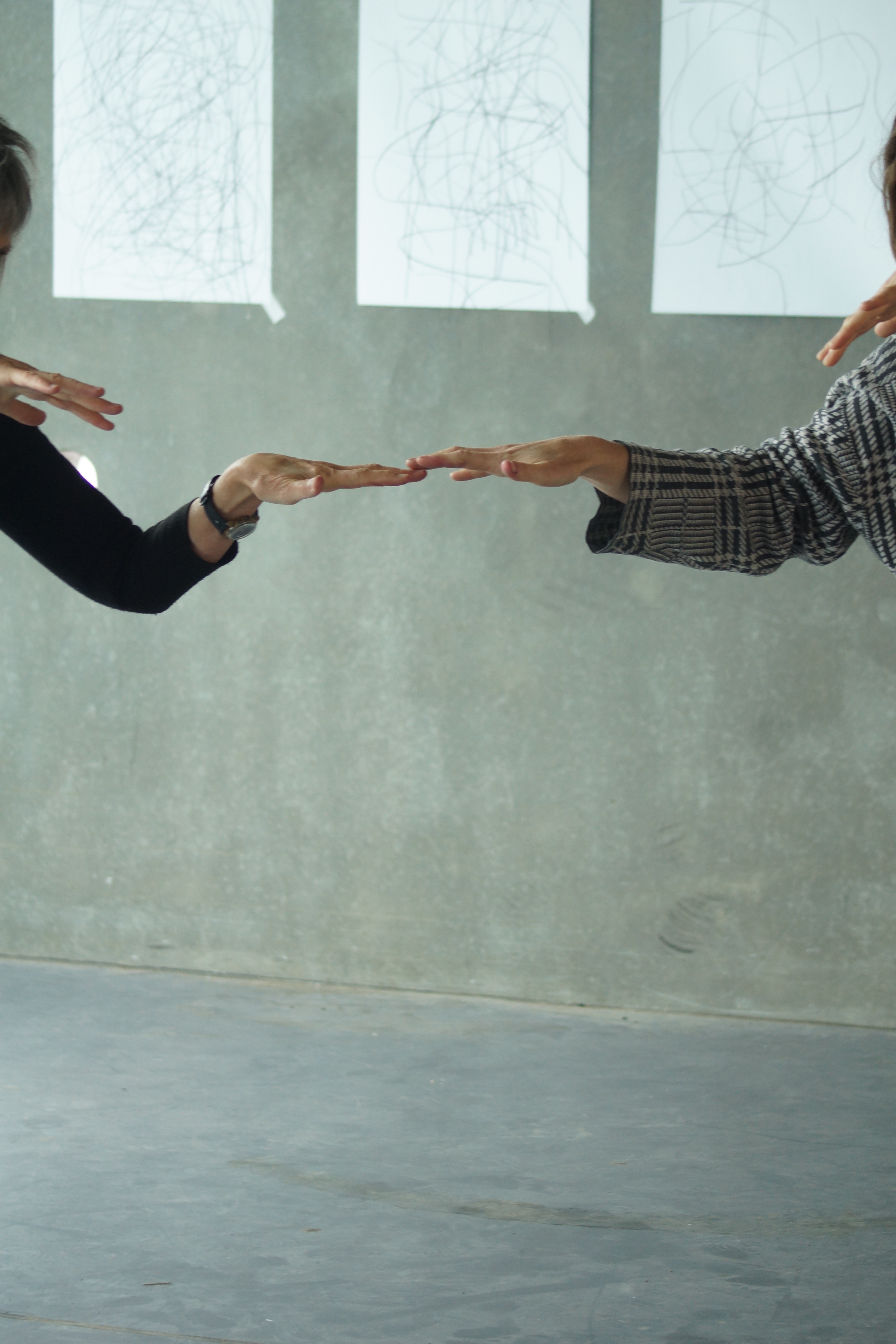 Fundraiser by Lily Alcock : FLOW COMMUNITY MOVEMENT WORKSHOP AND ...