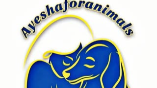 Help Us Open an Animal Shelter in Pakistan photo