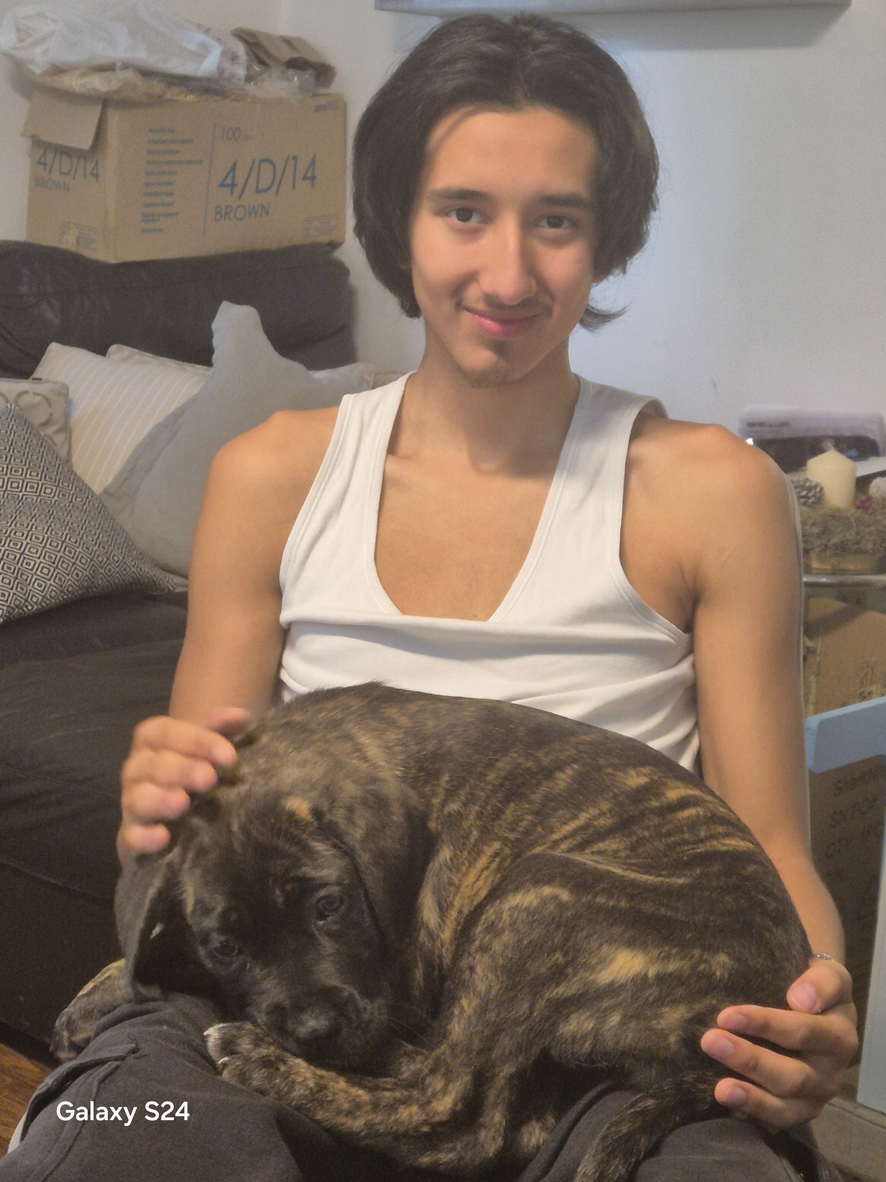 Help me to reunite my son with his dog. campaign photo, 6 of 7