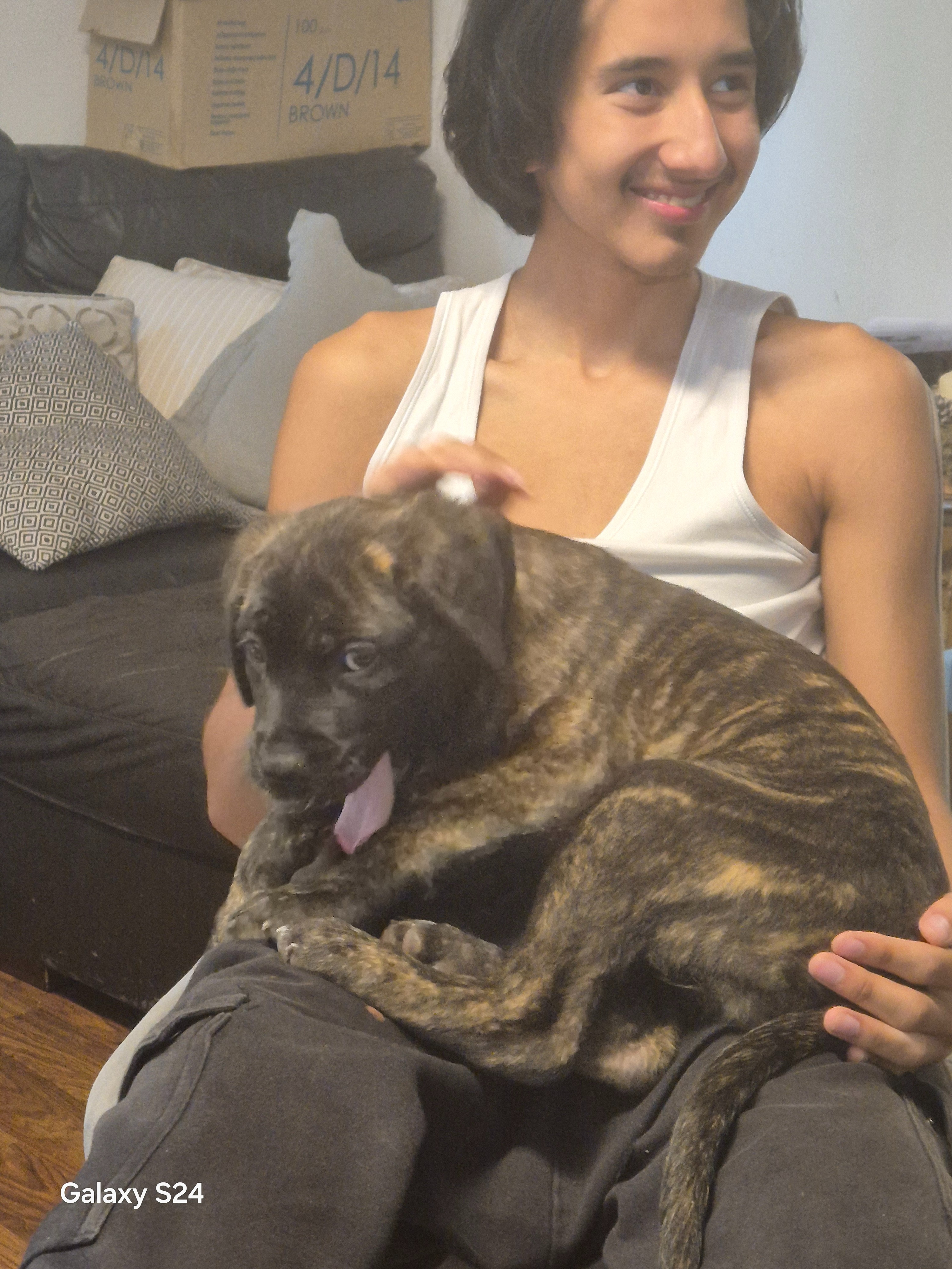 Help me to reunite my son with his dog. campaign photo, 2 of 7
