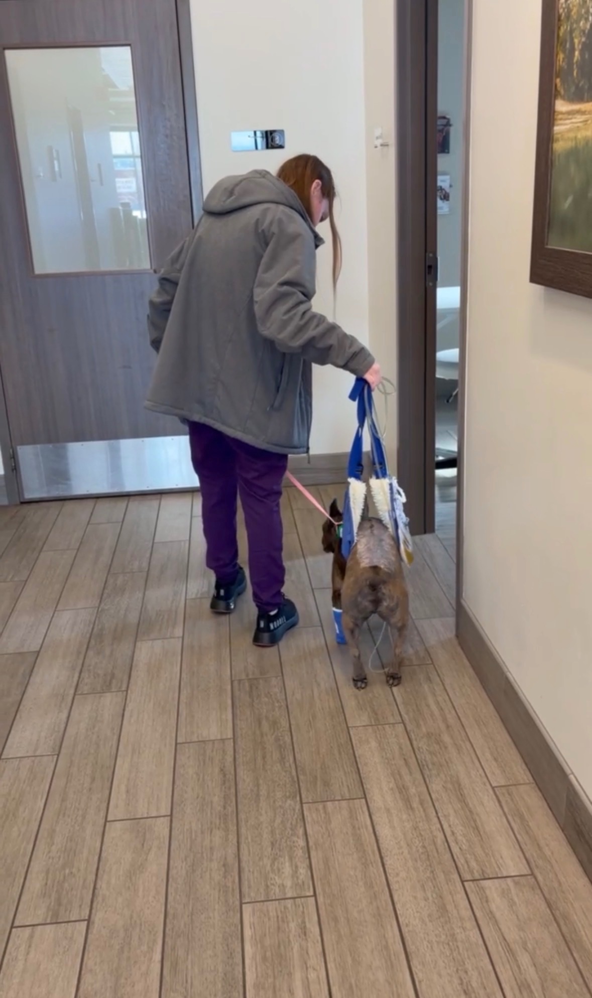 Help Dougie Walk Again — Supporting His Road to Recovery campaign photo, 5 of 8