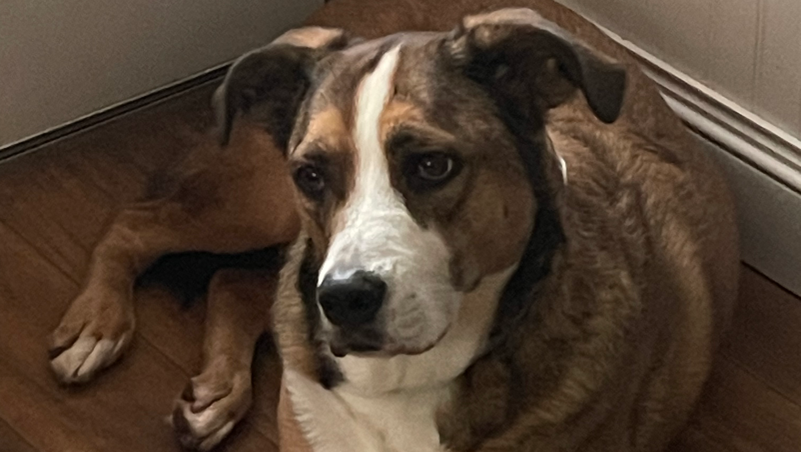 Support Mr. Brown’s Surgery