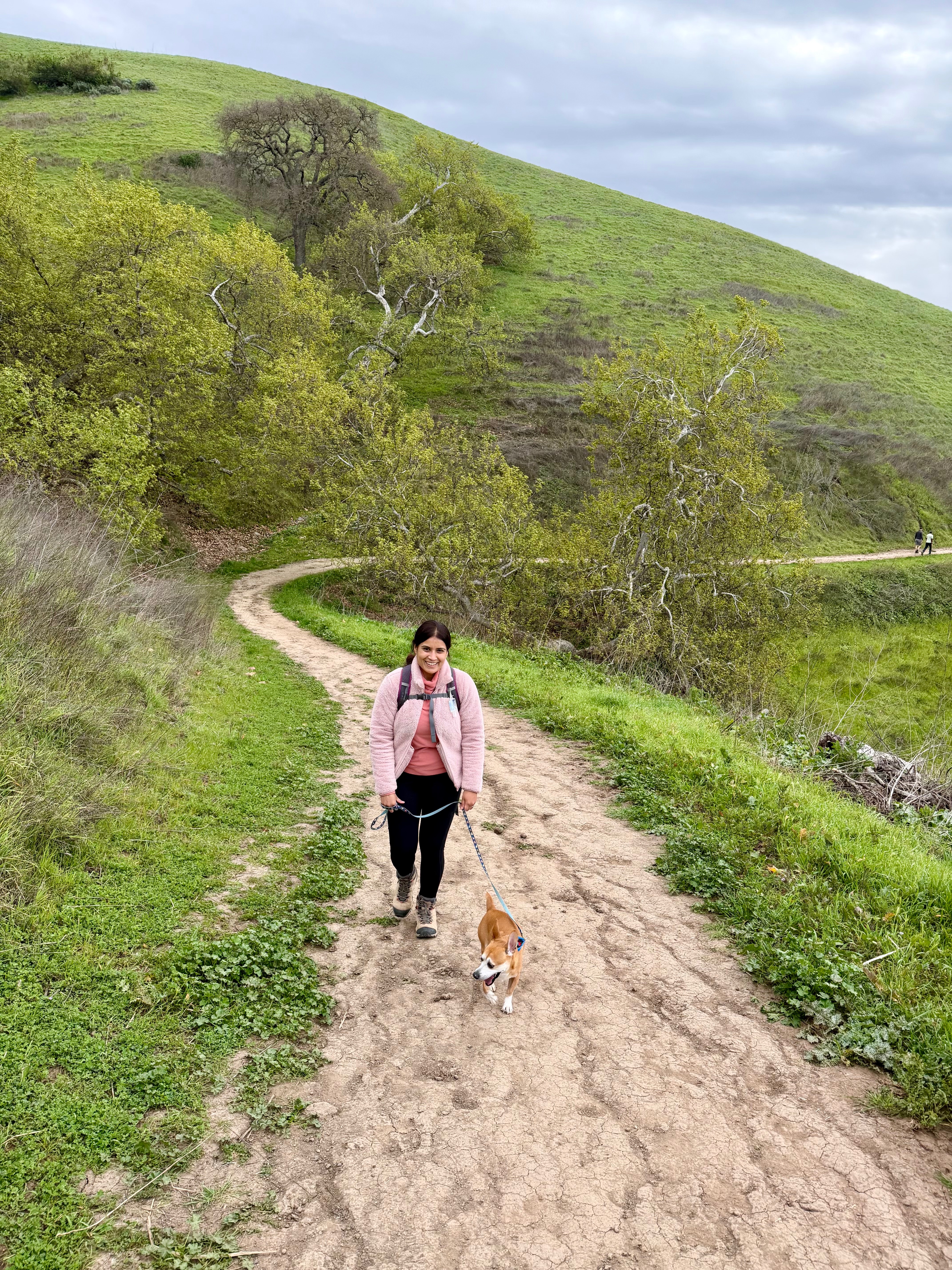 31-Mile Dog Walk for American Cancer Society campaign photo, 6 of 7