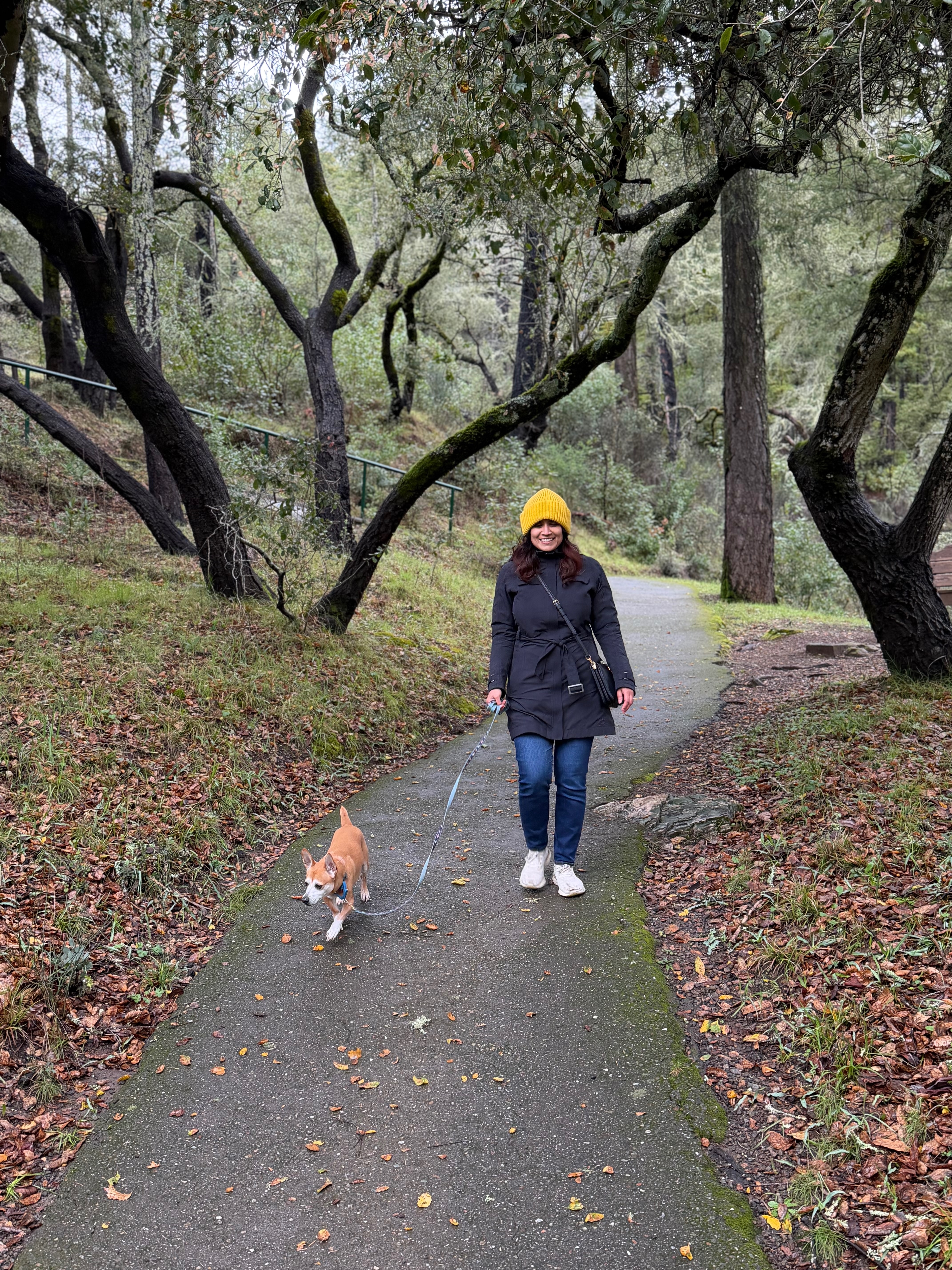 31-Mile Dog Walk for American Cancer Society campaign photo, 5 of 7