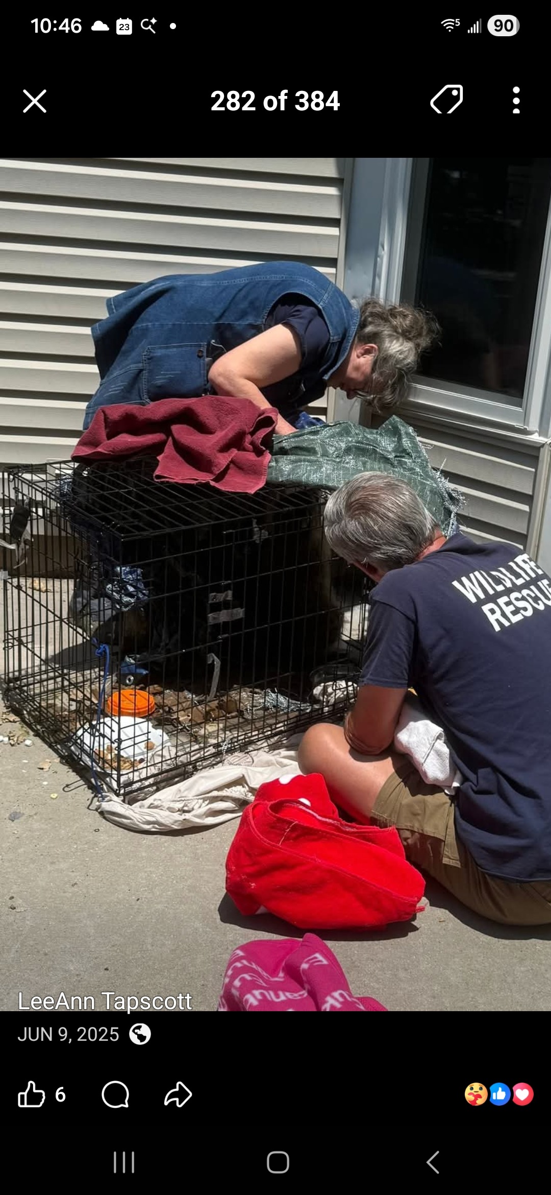 LeeAnn needs surgery. Her rescues need US:) campaign photo, 4 of 8