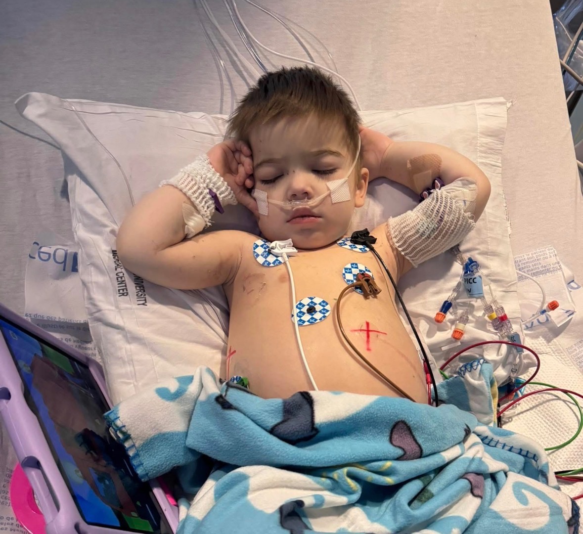 Let’s give Baby Vinnie the funeral he deserves campaign photo, 5 of 8