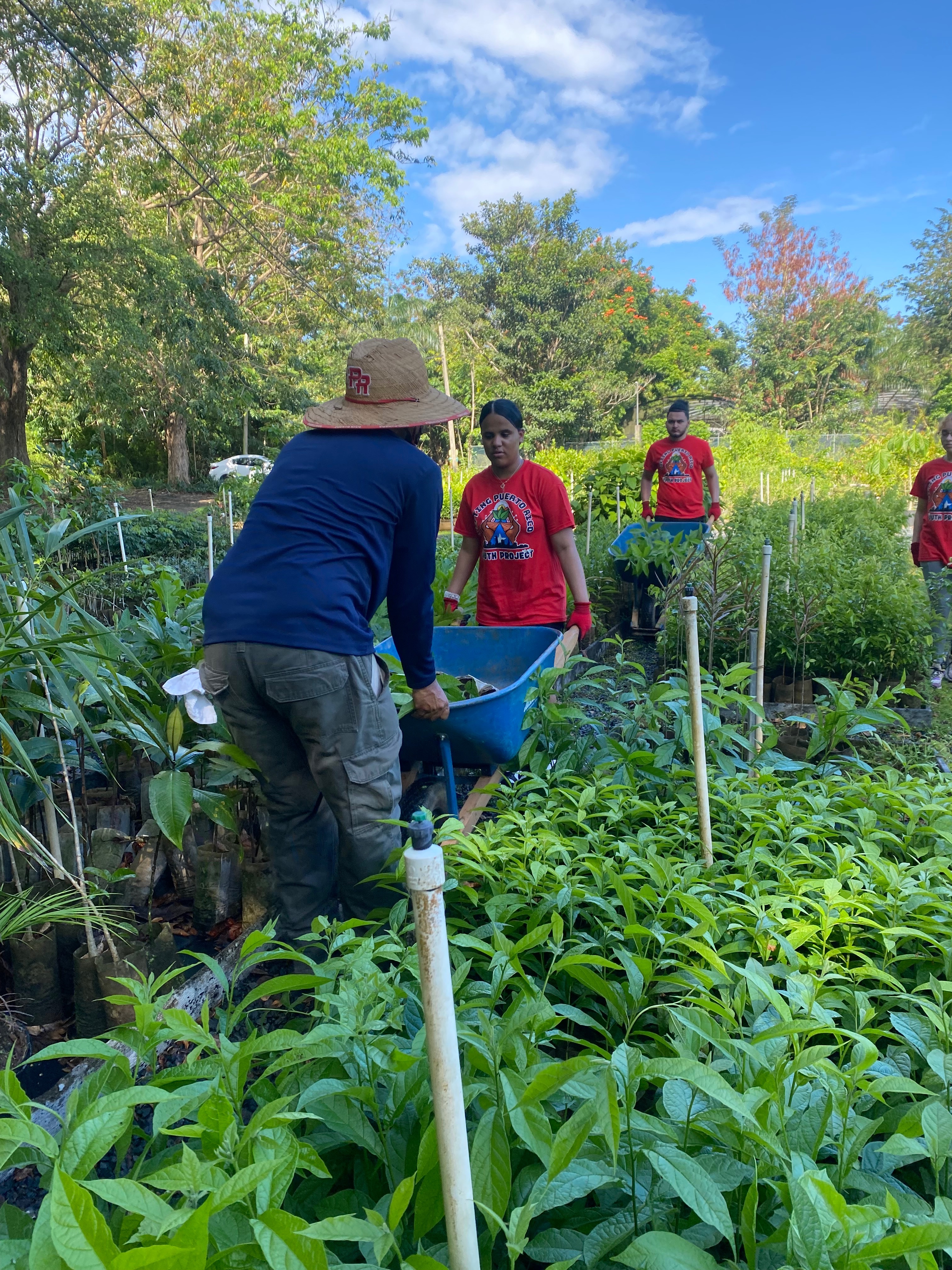 Support Students' Service Learning Projects in Puerto Rico campaign photo, 7 of 8