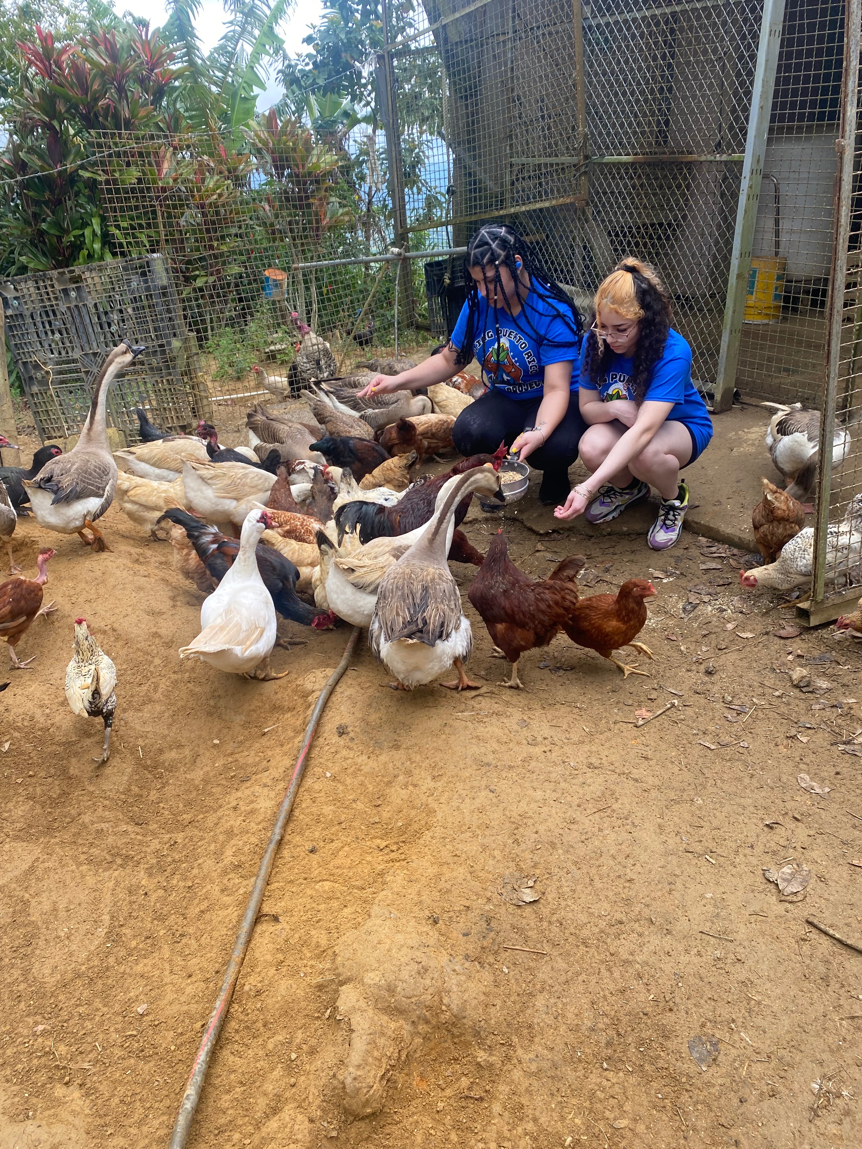 Support Students' Service Learning Projects in Puerto Rico campaign photo, 6 of 8