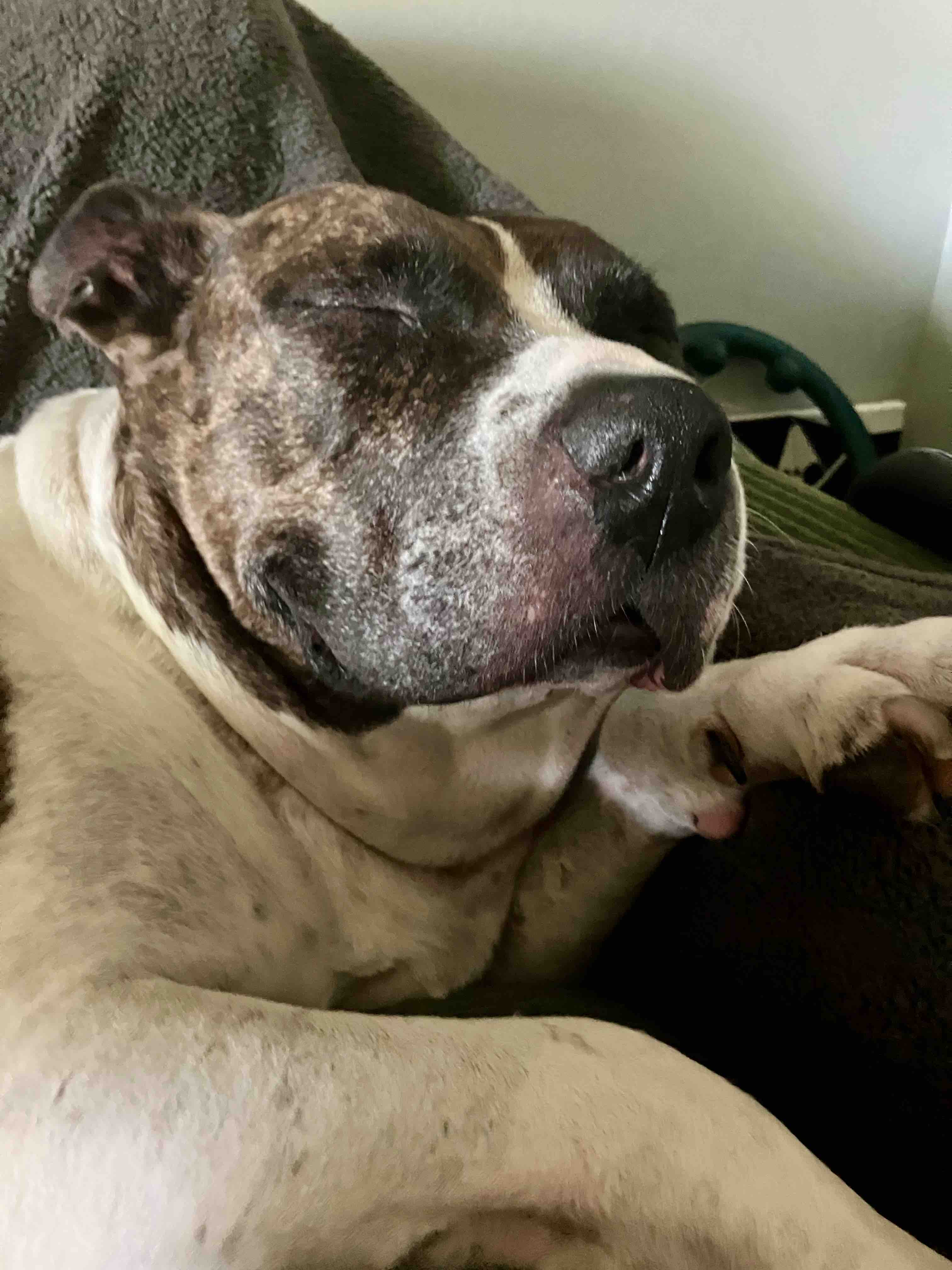 Help Courtney After Caring for Big Mama Lucy's Health campaign photo, 7 of 8