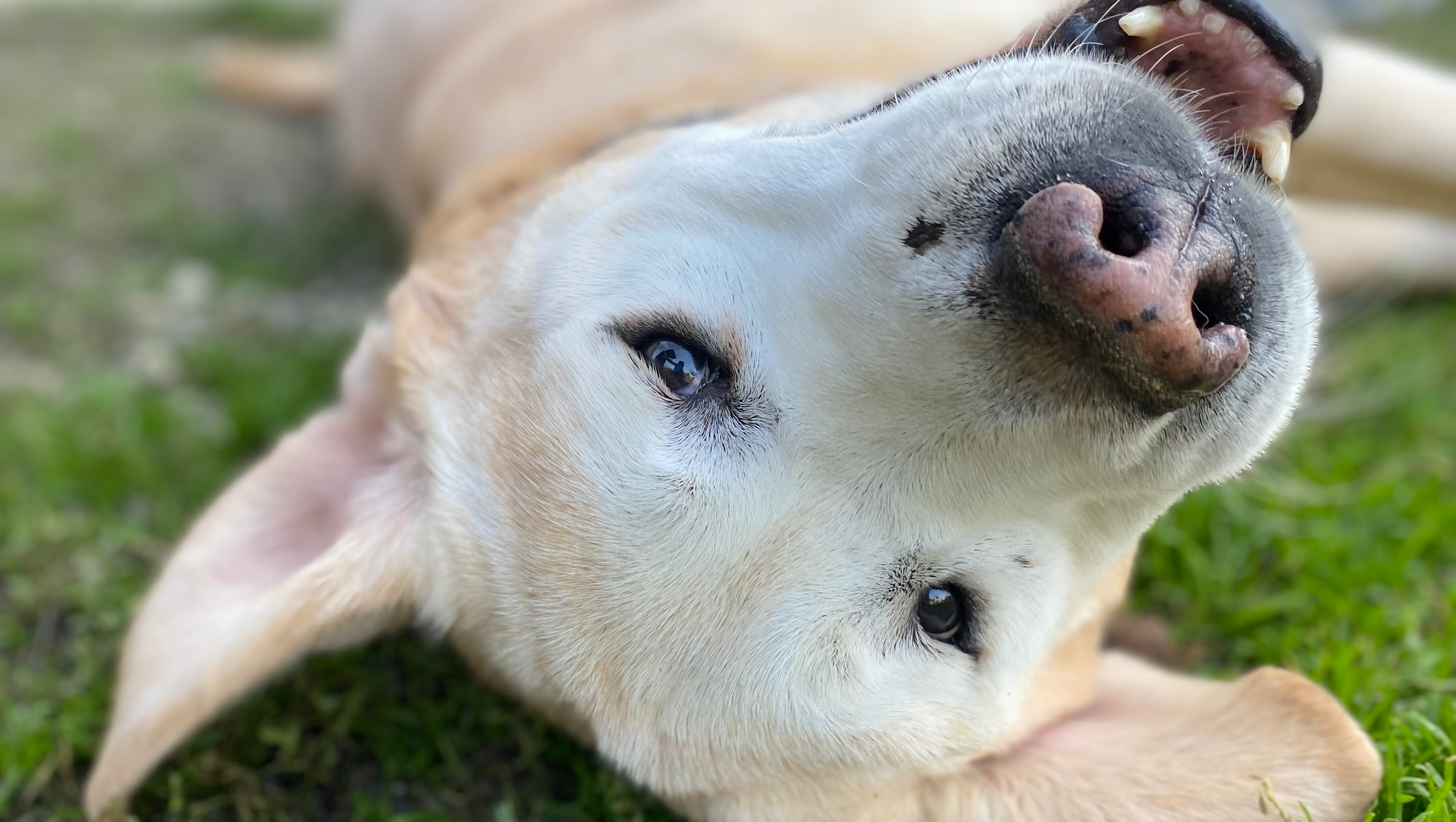 Un Aiuto per I Più Invisibili photo