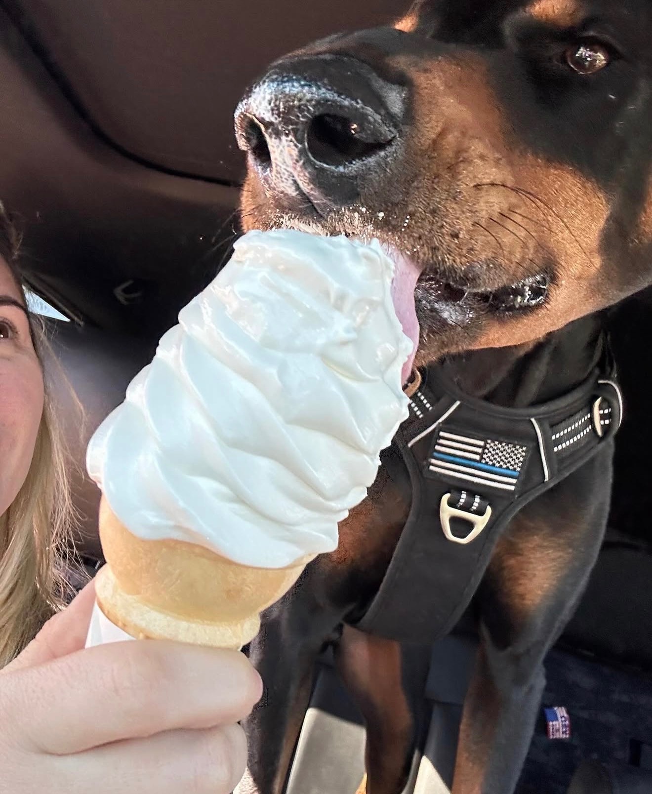 Help Caitlyn Save Her Best Friend, Titus campaign photo, 2 of 7