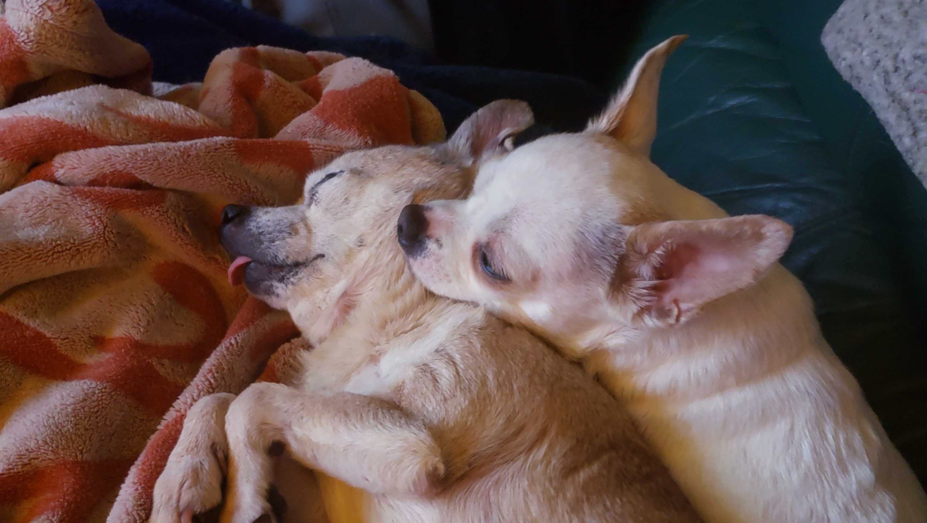 Support Kristi After Husband’s Cancer Loss