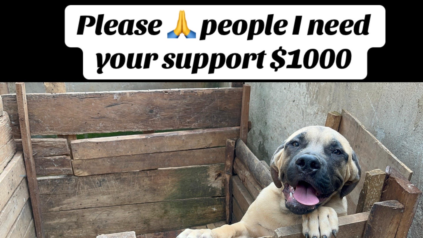 My name is Mulangira samad am 20 years old photo