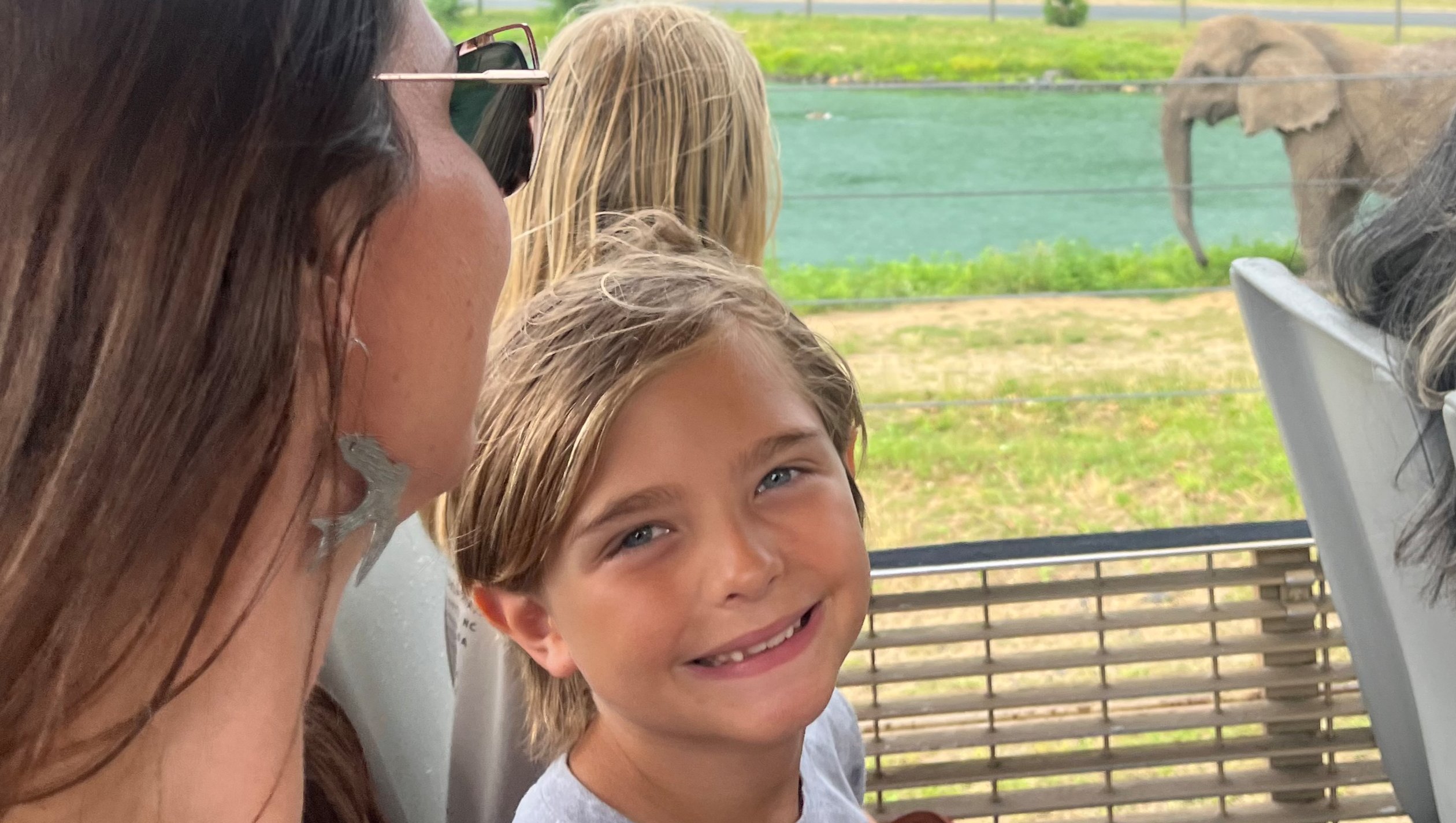 Help Us Make Our Home Safe for Cylas: A Hope for Remission photo