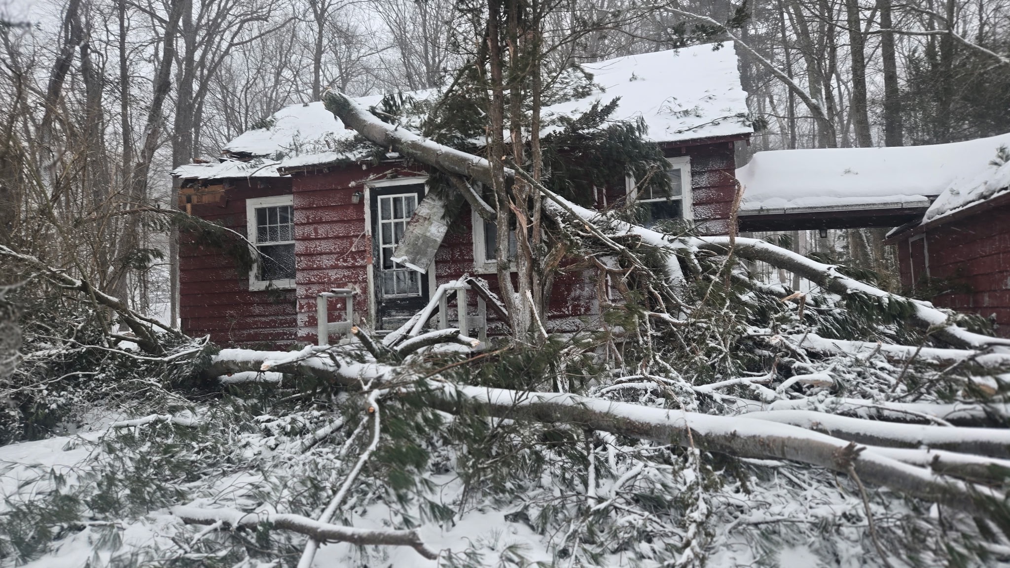 Help Salli Recover After Blizzard Damage campaign photo, 4 of 5