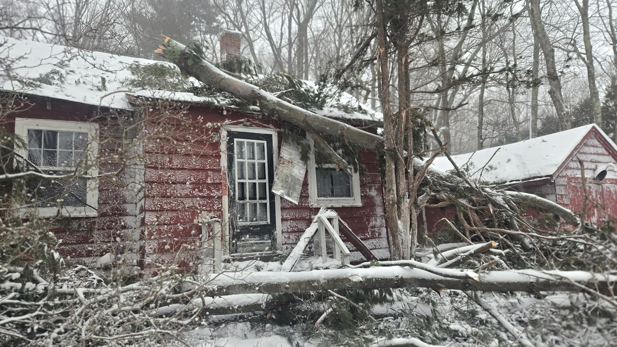 Help Salli Recover After Blizzard Damage campaign photo, 2 of 5
