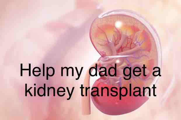 Support My Dad’s Critical Kidney Treatment campaign photo, 2 of 4