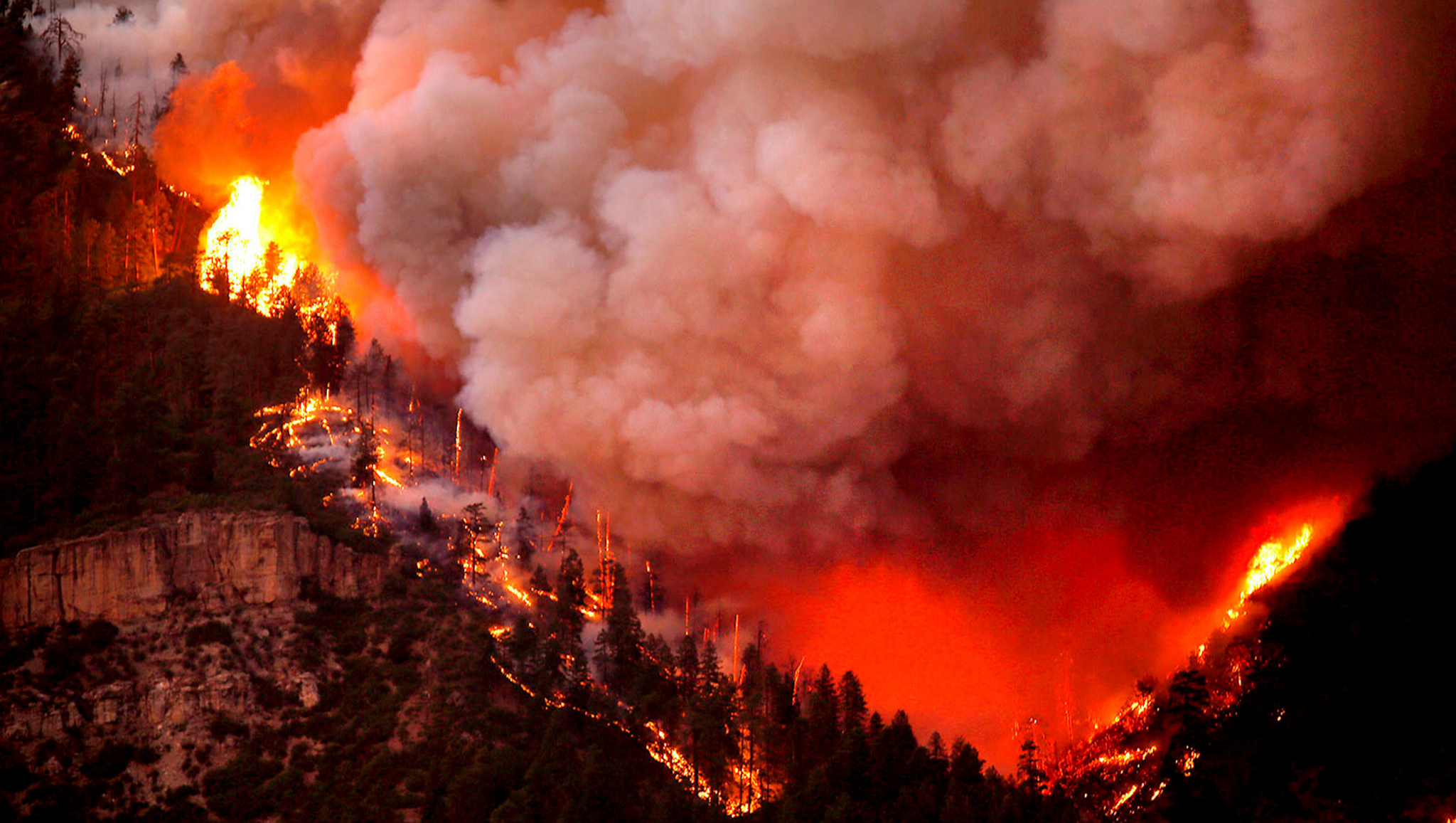 Help Us Deliver Real-Time Wildfire Alerts Across the Nation