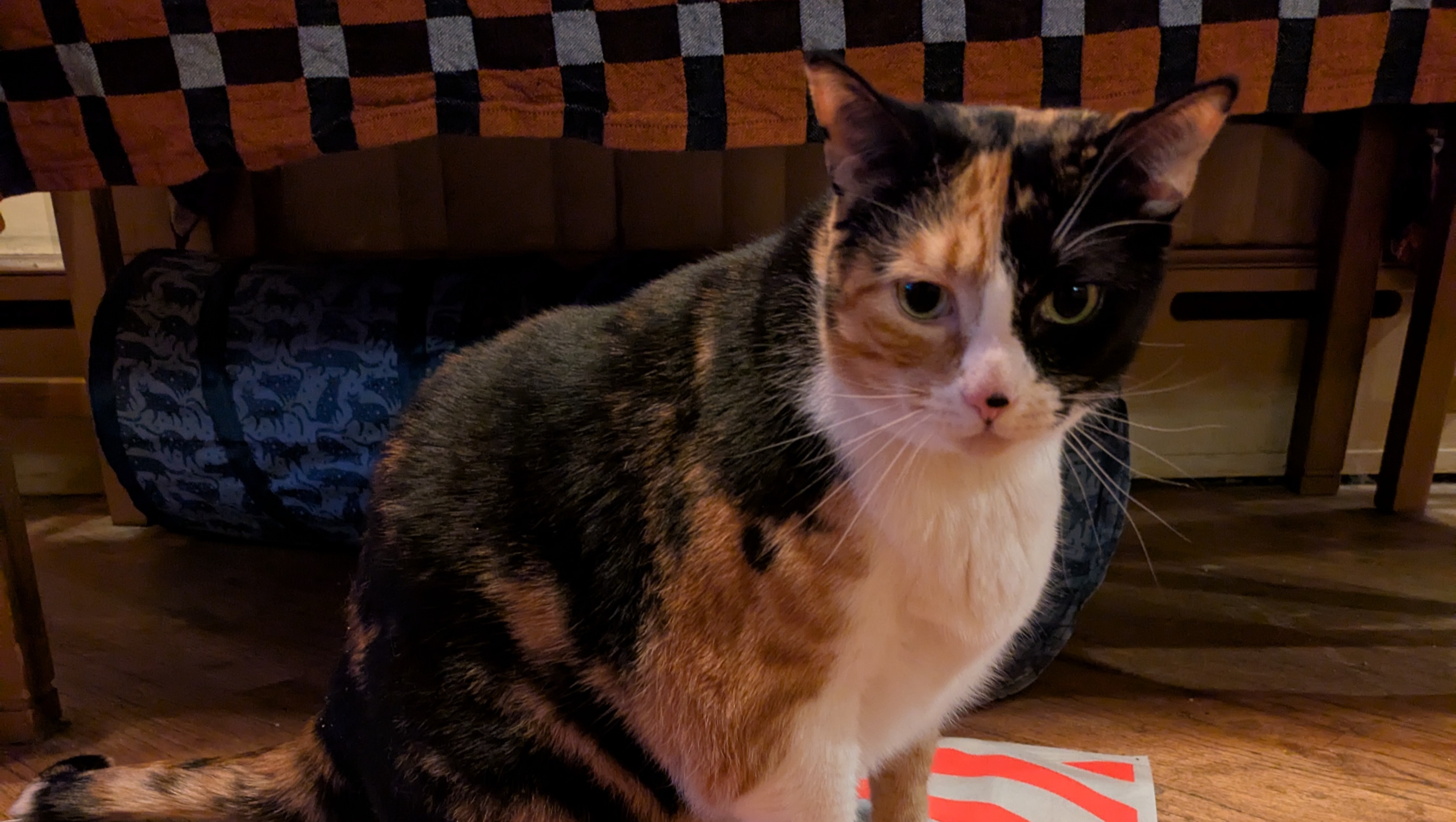 Give Marble Rye a Fighting Chance