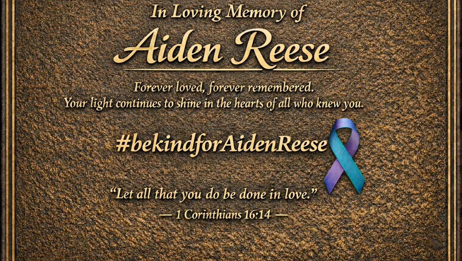 Support Aiden's Memorial Bench and Plaque