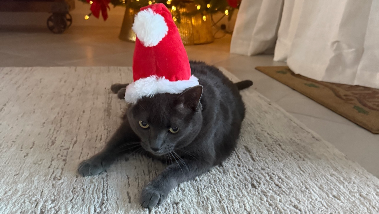 Love and Care for Lenny’s Recovery