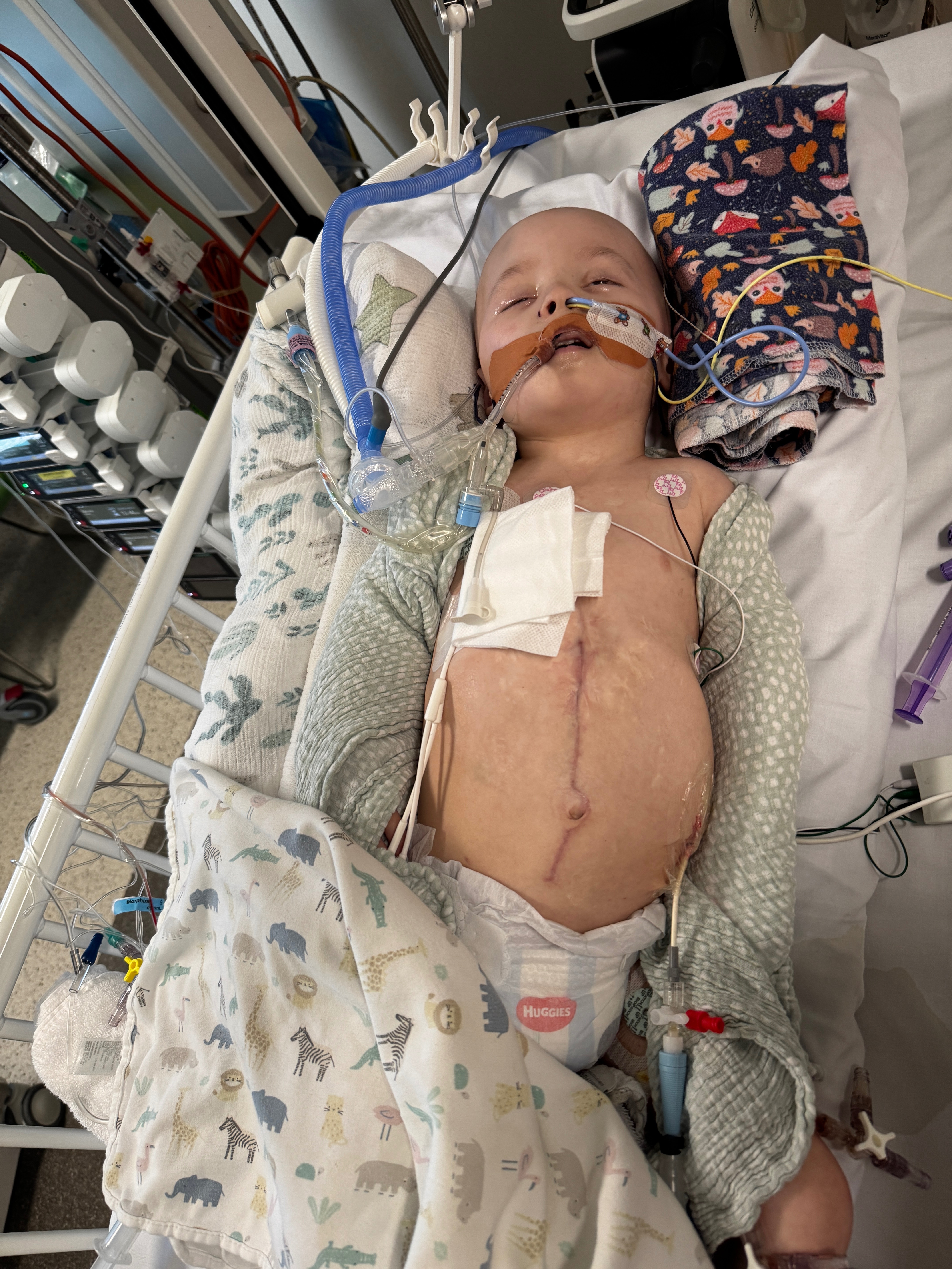 For Miller – Rare Cancer, Brave Heart, Precious Time campaign photo, 5 of 8