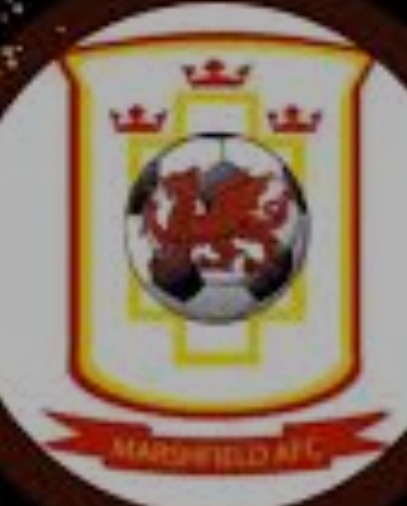 Marshfield FC new facilities campaign photo, 2 of 4