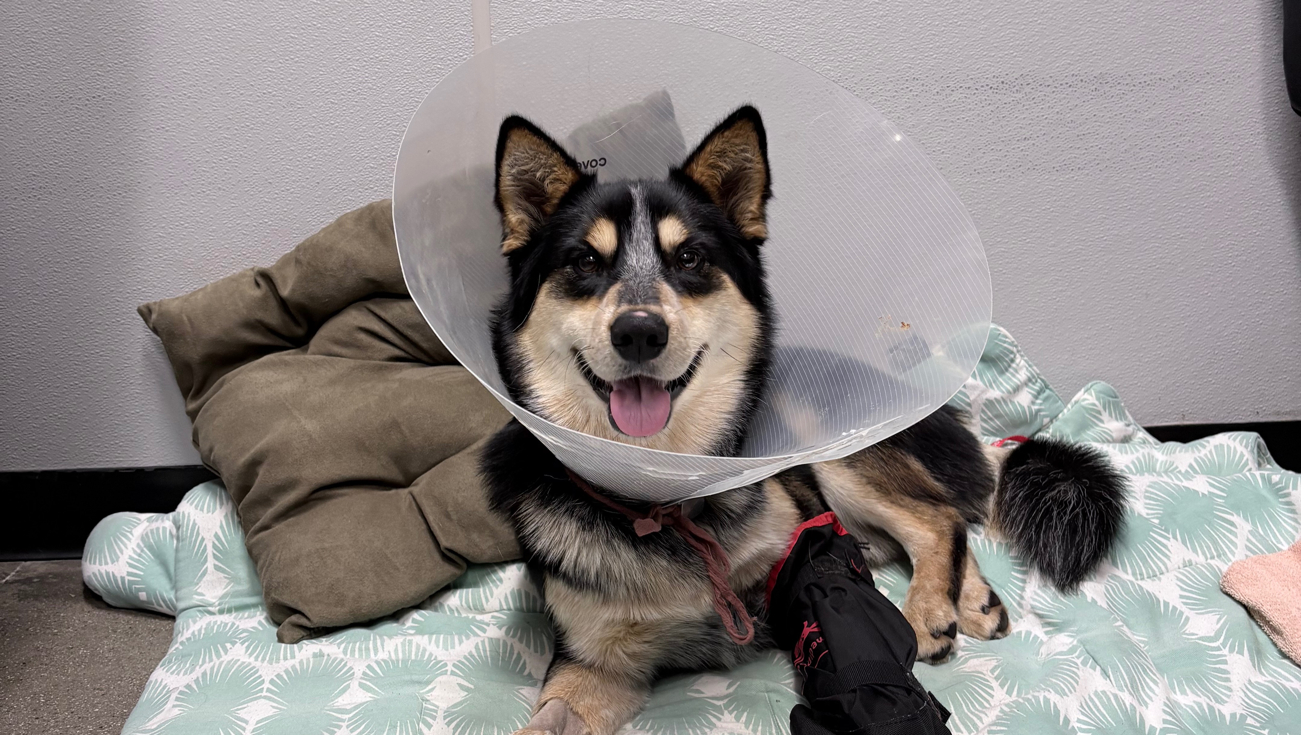 Support Kevin’s Surgery for a Better Life