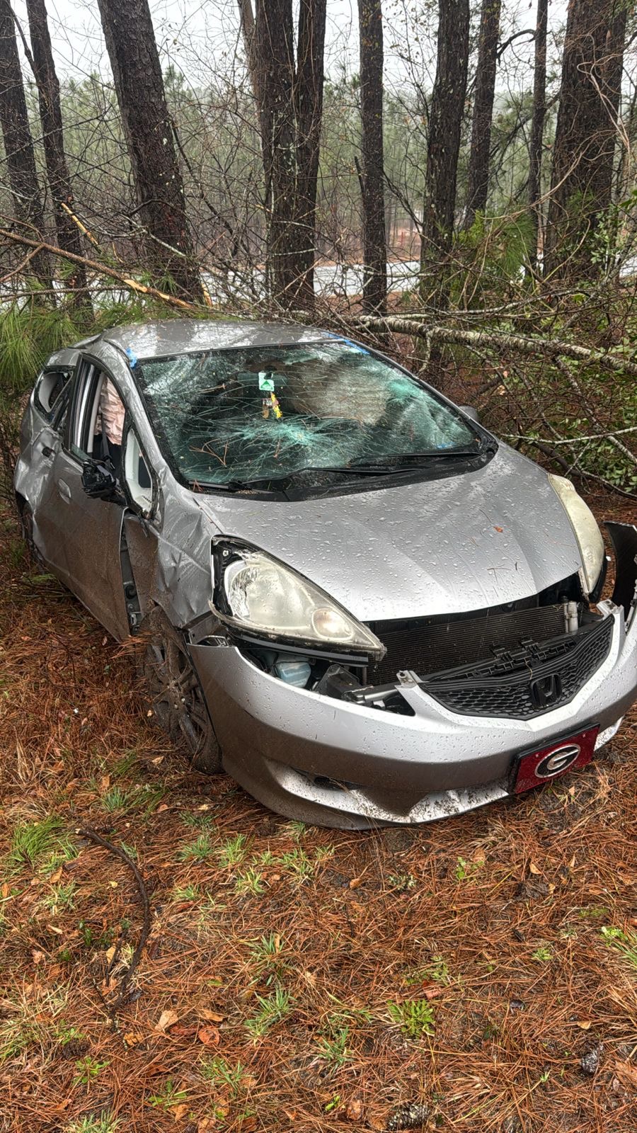 Support Bruno’s Journey After His Car Accident campaign photo, 5 of 8