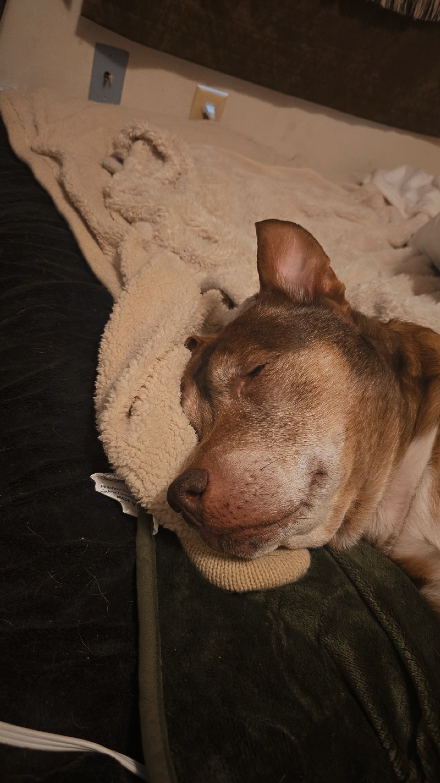 A Peaceful Farewell for Nina at Home campaign photo, 5 of 6