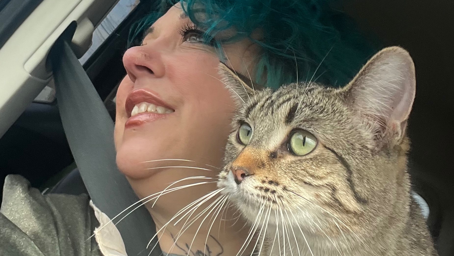 Help Me Find Peace and a Home photo