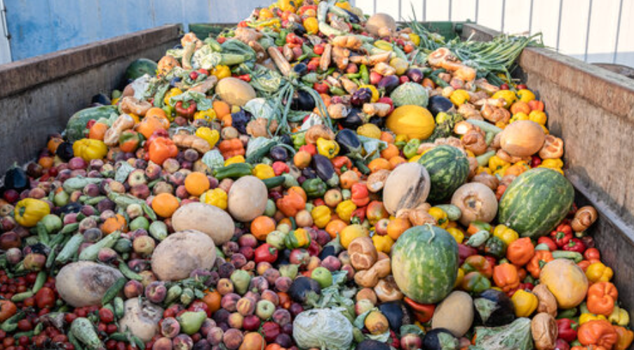 Bridging Abundance and Hunger with GivingTree campaign photo, 4 of 5