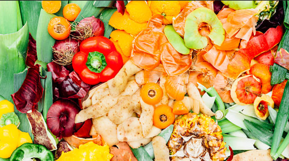 Bridging Abundance and Hunger with GivingTree campaign photo, 2 of 5