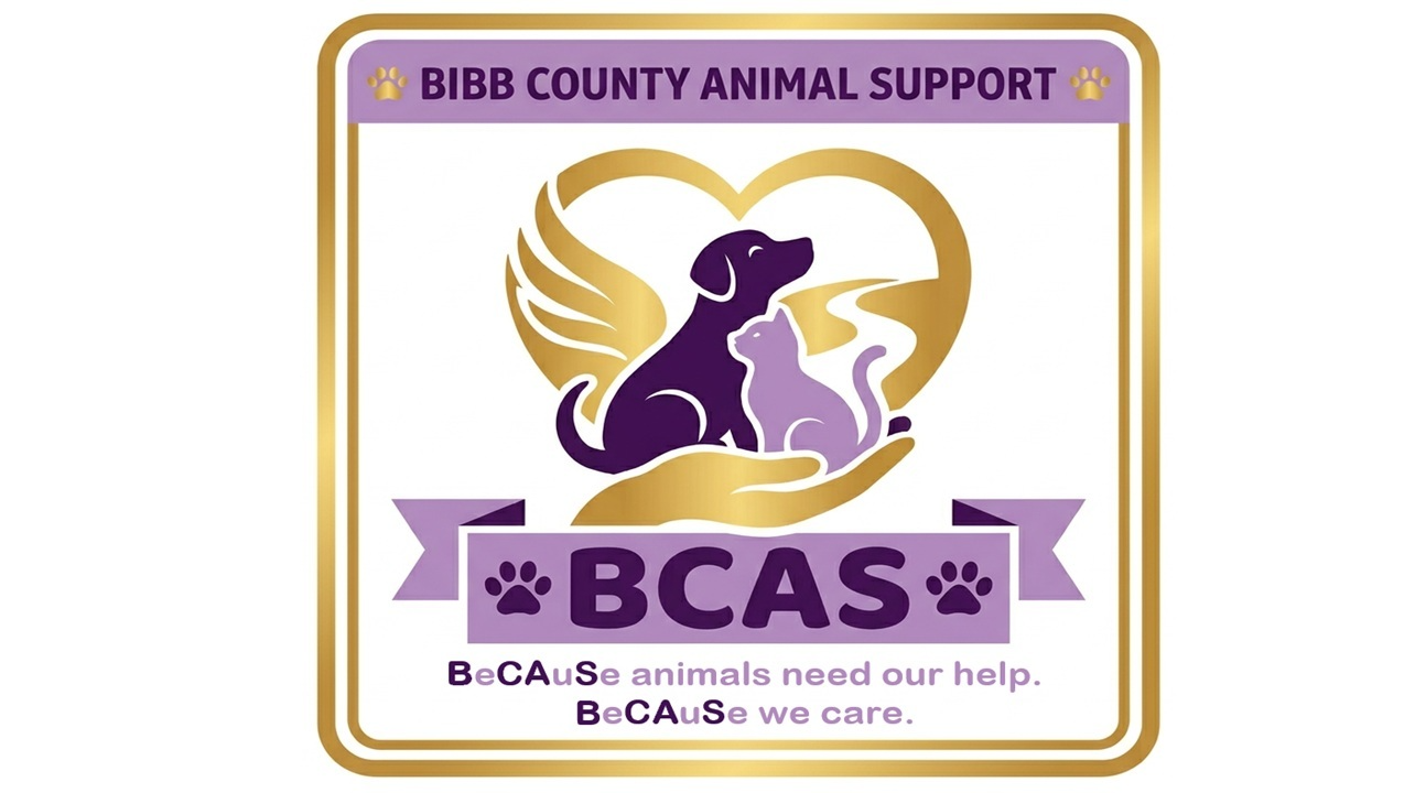 Fundraiser image