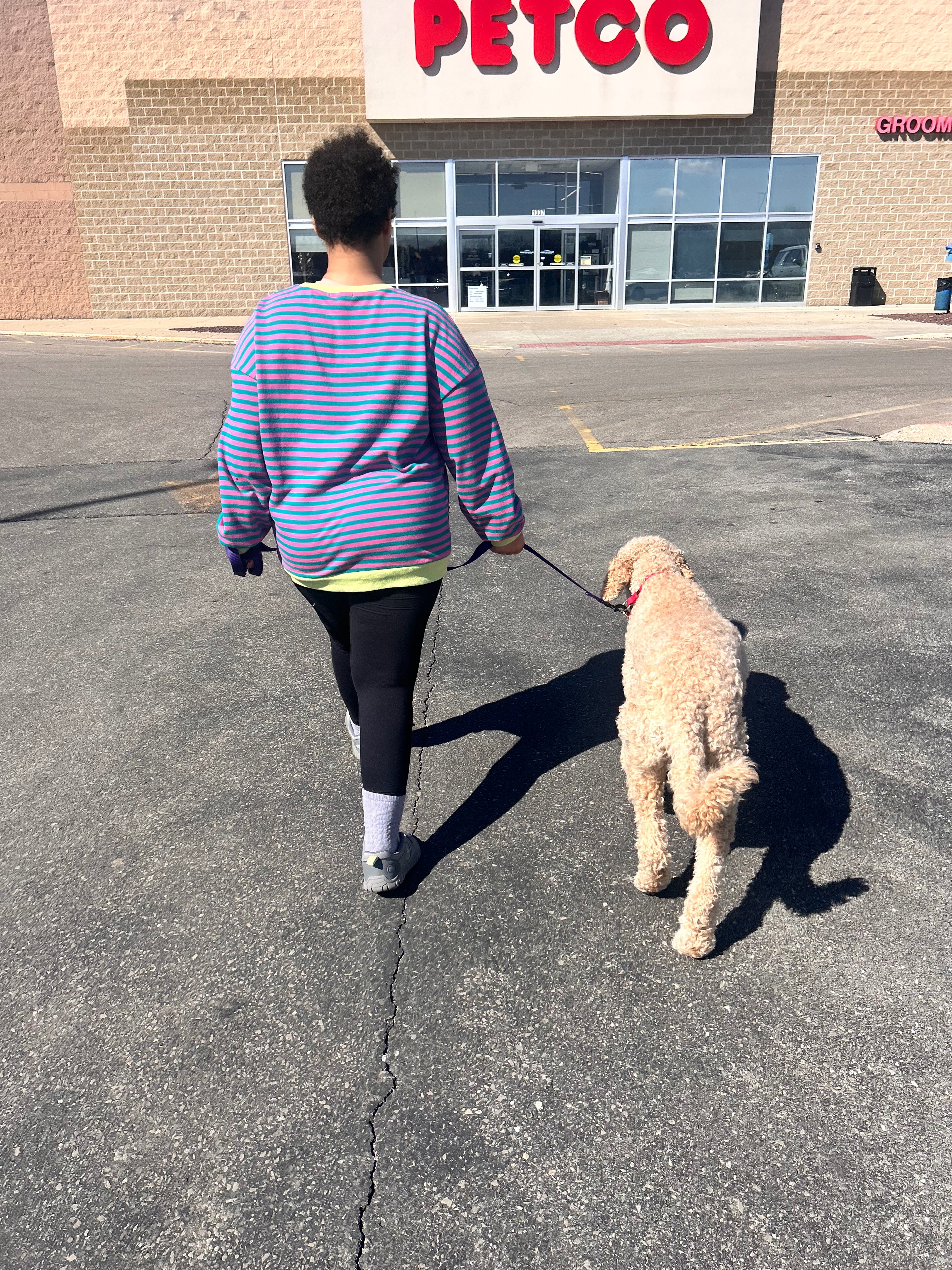 Help Kaila Get Her Service Dog campaign photo, 6 of 8
