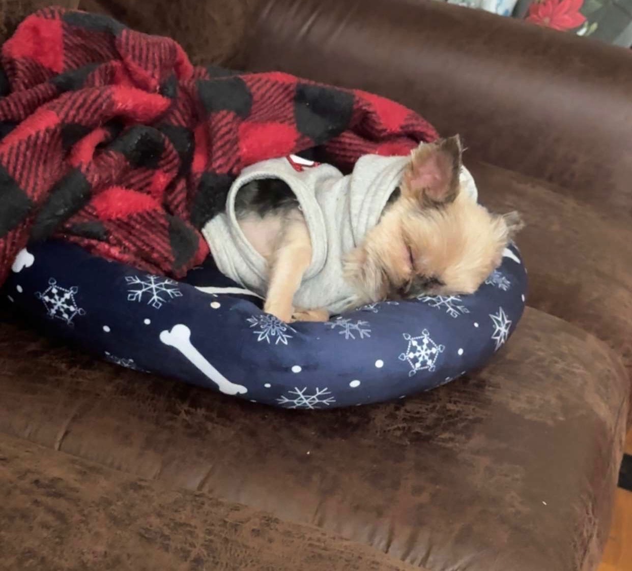 Help Nessa Recover from Pneumonia campaign photo, 6 of 7