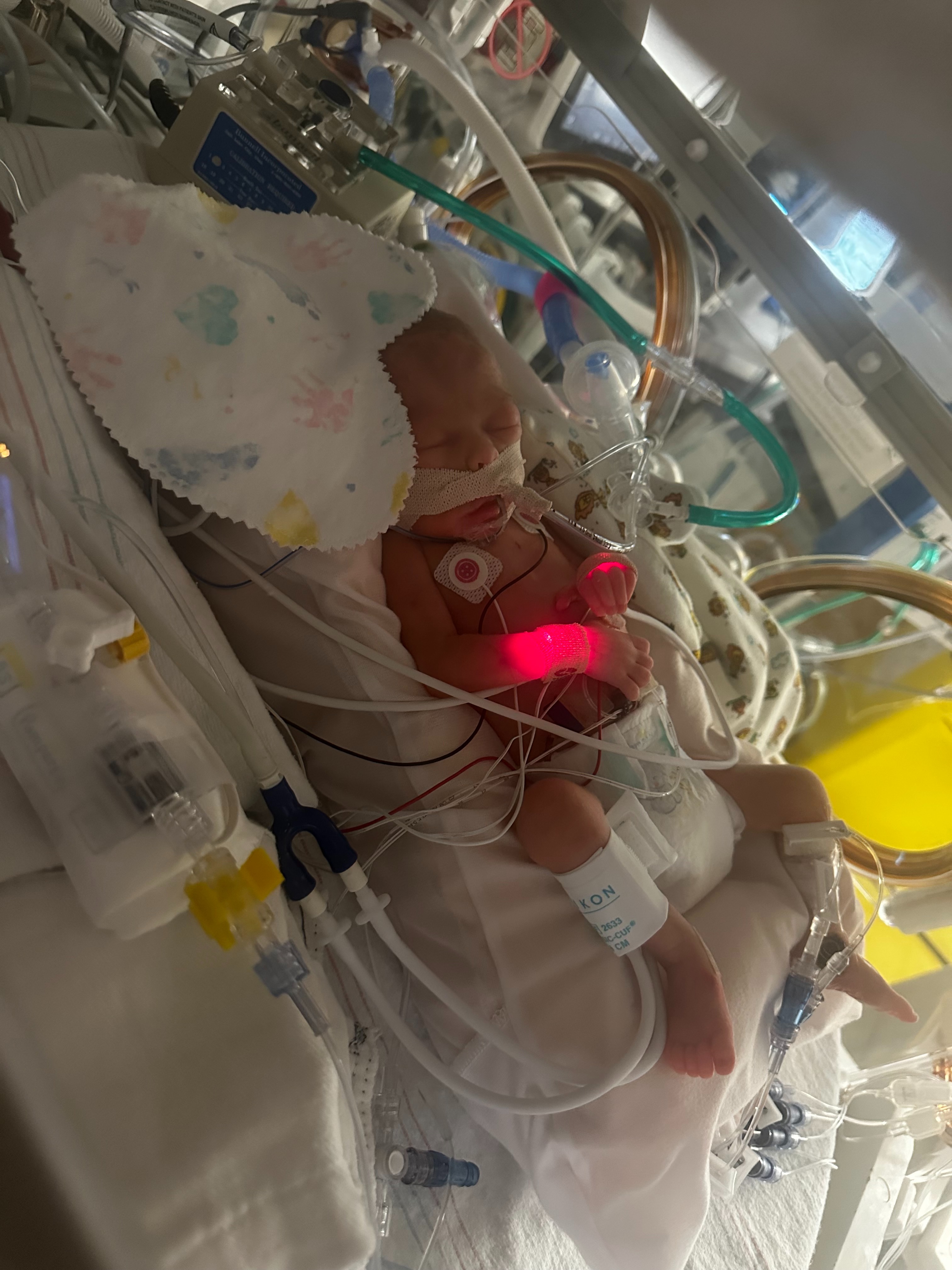 Donate to help Josh, Laney, and Baby Hayden campaign photo, 2 of 8
