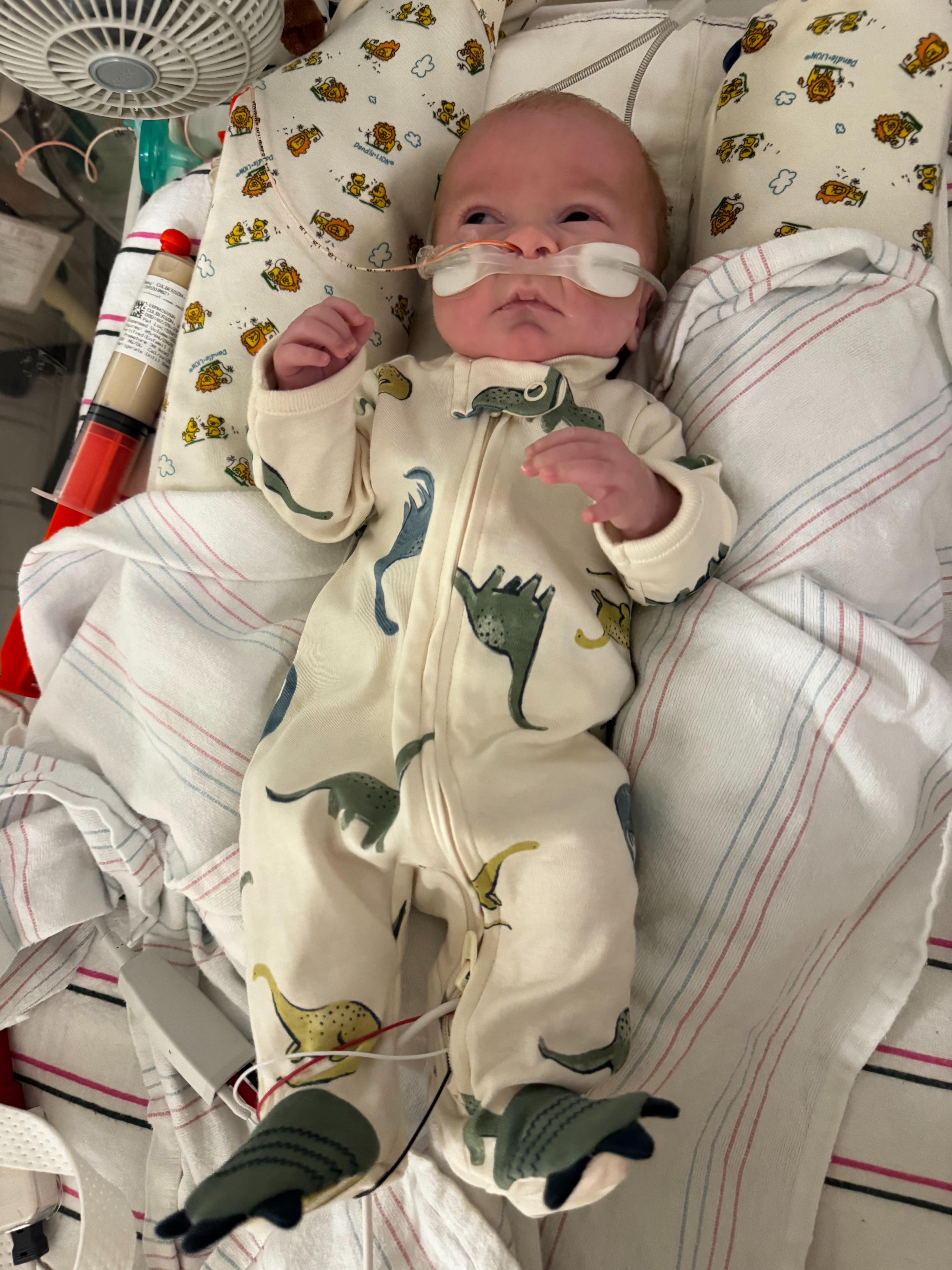 Donate to help Josh, Laney, and Baby Hayden campaign photo, 6 of 8