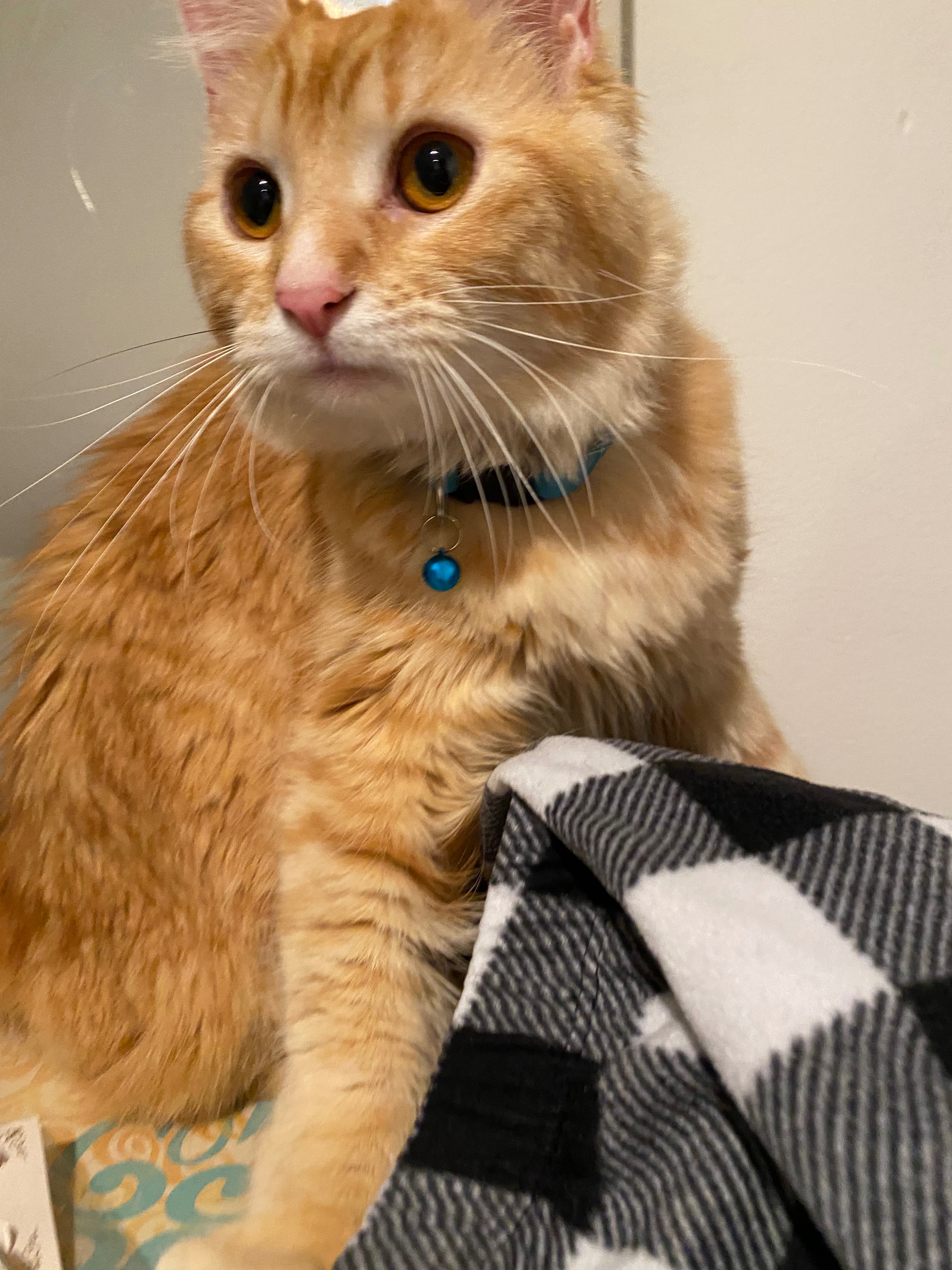 Help Theodore Get Life-Saving Surgery campaign photo, 4 of 5