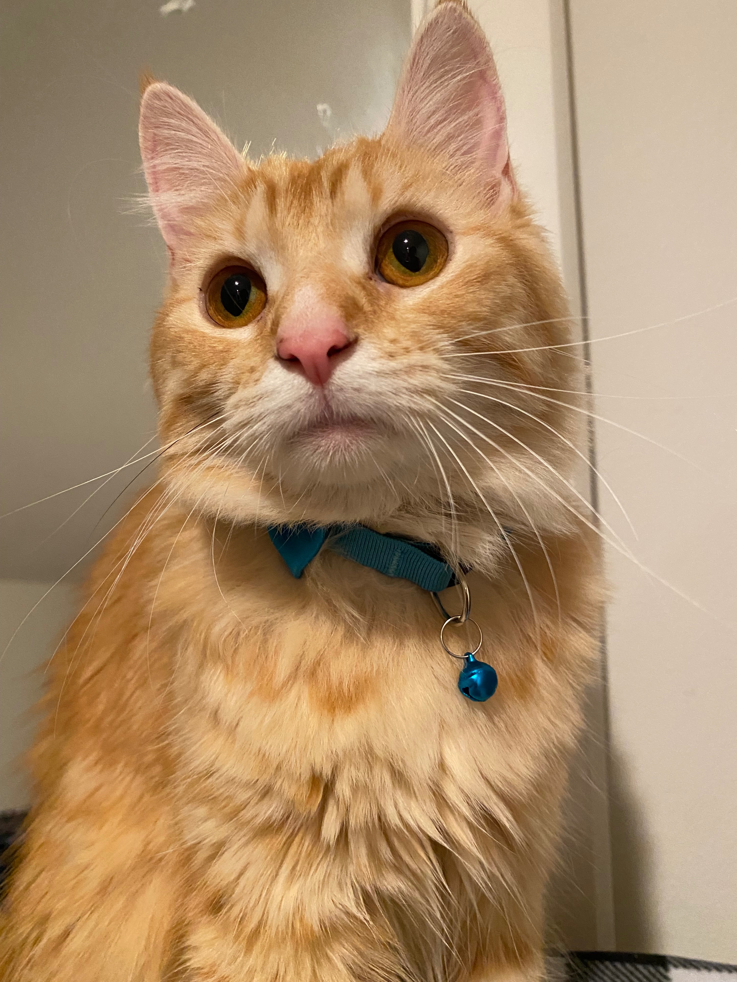 Help Theodore Get Life-Saving Surgery campaign photo, 2 of 5