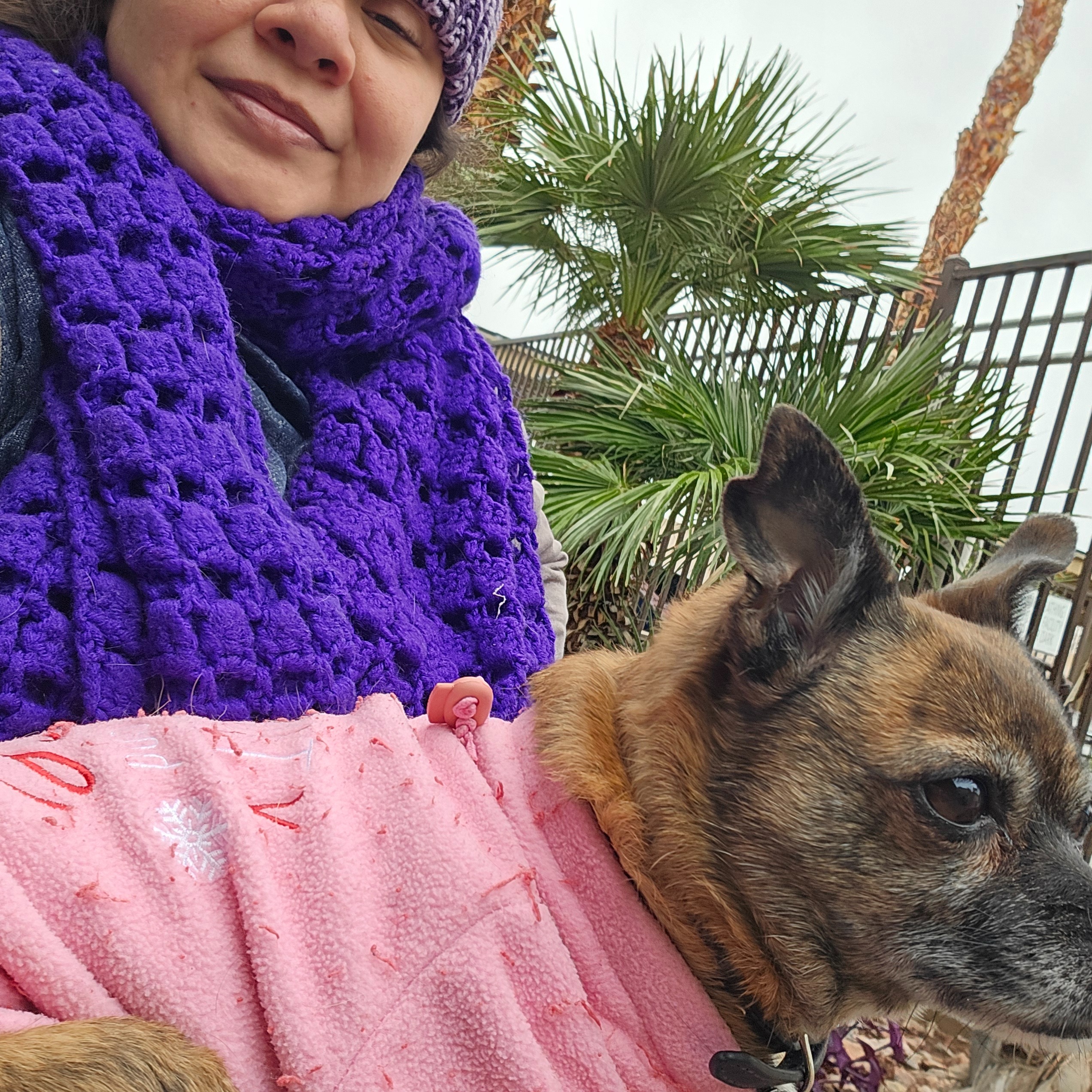 Fundraiser by Melonie Avina : Support Me find a home